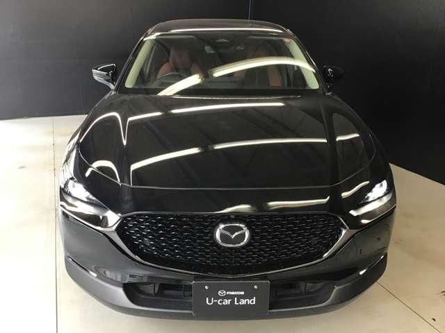 �������̂���t�����g�r���[�ł��B