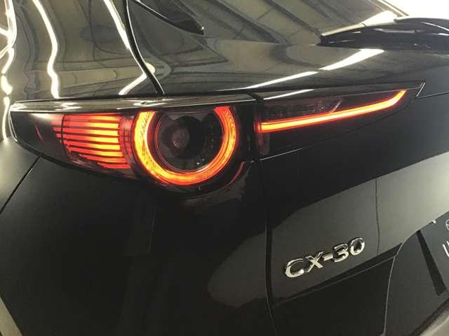 ��Ԃ̎��F�������߃h���C�o�[�̊댯�F�m���T�|�[�g����k�d�c�w�b�h���C�g��