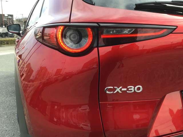 ��Ԃ̎��F�������߃h���C�o�[�̊댯�F�m���T�|�[�g����k�d�c�w�b�h���C�g��