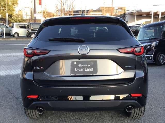 �}�c�_�����f�U�C�����̗p�B�t�����g�t�F�C�X���Ƀ��b�L�́u�V�O�l�`���[�E�C���O�v������A��������\�����Ă��܂��B