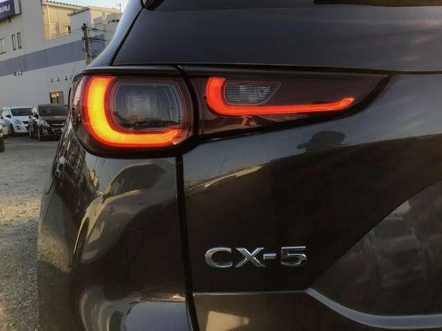 ��Ԃ̎��F�������߃h���C�o�[�̊댯�F�m���T�|�[�g����k�d�c�w�b�h���C�g��