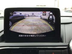 ɥ ӥڥѥå®ͣԡʥӡХå˥ɥ쥳 0800241A20251023Z001 3