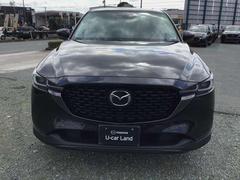 ����ʧ���ǽ���Σ��Ĥ����򤬲�ǽ�Ǥ��� 5