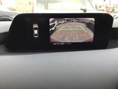 �Хå����󥵡���ܤǤ�����������԰¤⤳��ˤƲ�äǤ��͡� 3