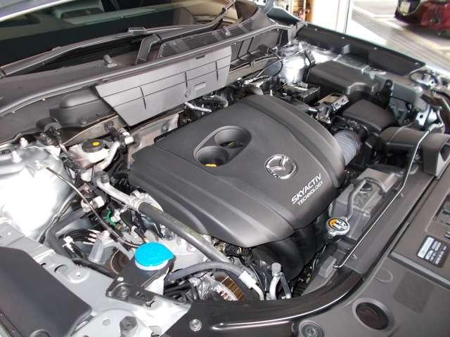 2.5 25S Lパッケージ 4WD (19枚目)