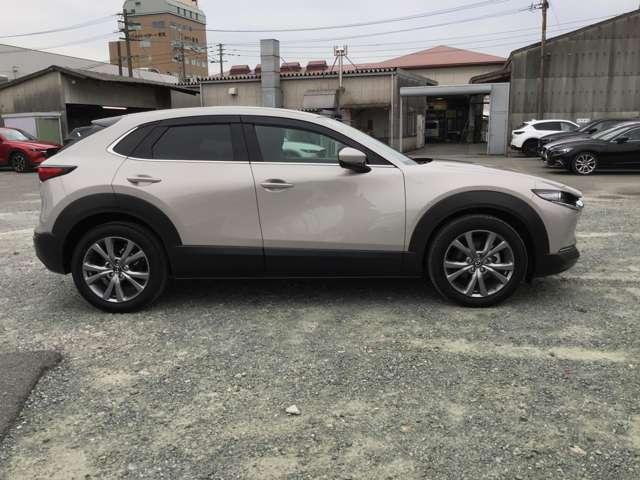 ＣＸ－３０ ２０Ｓツーリングセレクション　前後ドラレコ　全方位モニター　ＰＷゲート　（9枚目）