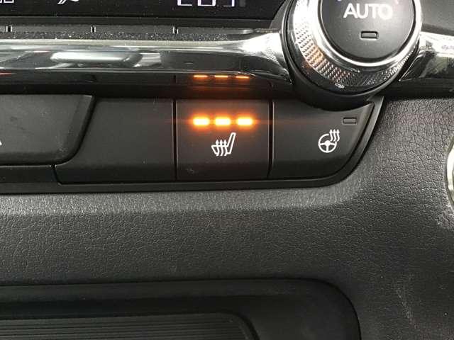 ＣＸ－３０ ２０Ｓツーリングセレクション　前後ドラレコ　全方位モニター　ＰＷゲート　（20枚目）