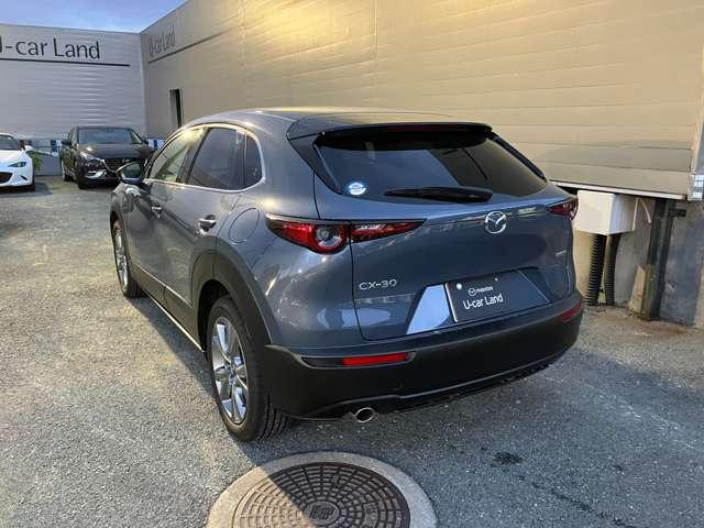 ���A�e�[�������v�ׂ͍��X�|�[�e�B��������܂��B�o���p�[�̃��A�Q�[�g�̃f�U�C���ɂ�������Ĉ�̊�������܂��B�g�m�J�o�[�����ŁA�����������������Ȃ����ɂ��v���C�o�V�[������܂��B