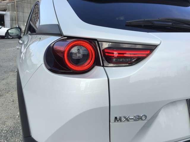 ��Ԃ̎��F�������߃h���C�o�[�̊댯�F�m���T�|�[�g����k�d�c�w�b�h���C�g��