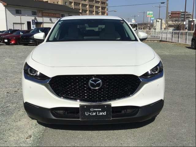 �}�c�_�����f�U�C�����̗p�B�t�����g�t�F�C�X���Ƀ��b�L�́u�V�O�l�`���[�E�C���O�v������A��������\�����Ă��܂��B