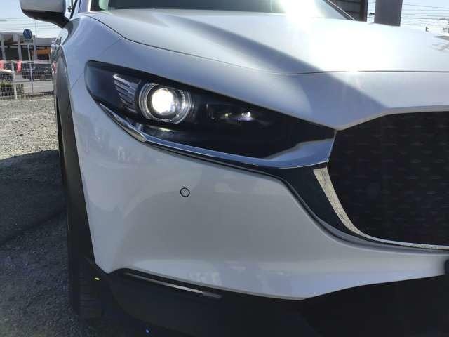 ��Ԃ̎��F�������߃h���C�o�[�̊댯�F�m���T�|�[�g����k�d�c�w�b�h���C�g��