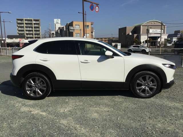 �N���}�����苎��܂ŁA�l�̖ڂɉf�肱�ނ��́B����l�𖣗��������B�B�B���������z���Ń}�c�_�f�U�C���͑���o����Ă��܂���