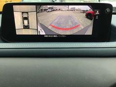 ãءݣ ӥġ󥰥쥯ɥ쥳̥˥Уץ 0800244A20251116Z001 3