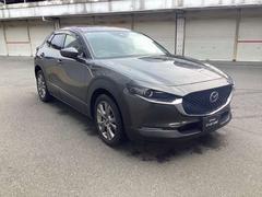 �ãءݣ��� �����ӡ��ԣңǣӣţ̡������̥�˥������ʥӡ��ţԣ� 0800244A20260117Z002 6