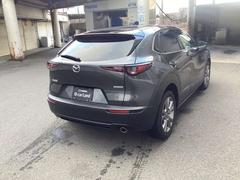 �ãءݣ��� �����ӡ��ԣңǣӣţ̡������̥�˥������ʥӡ��ţԣ� 0800244A20260117Z002 7