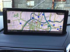 �����ɥ����� �ӥ쥶���С��֥��쥯����󡡣�£ϣӣš��ʥӡ��Хå������ 0800244A20260118Z003 3