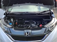 �ե꡼�� �ǡ��ۥ�����󥷥󥰡��ɥ�쥳�ƣҡ������ʥӡ�ξ¦���饤�ɥɥ� 0800249A30251214W002 7