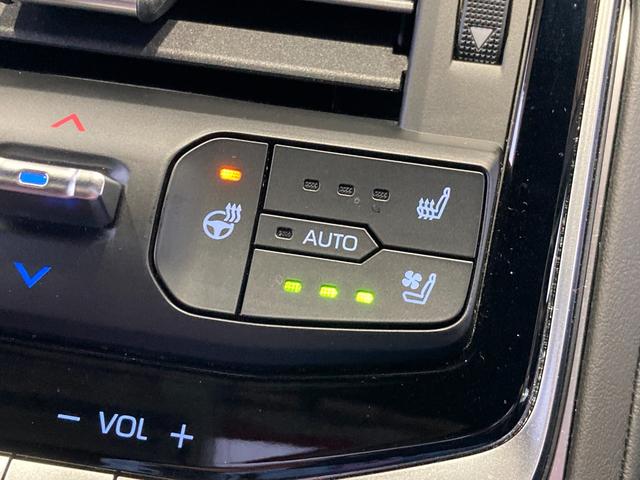 ランドクルーザー GRスポーツ 4WD 全周囲カメラ クリアランスソナー オートクルーズコントロール パワーシート 衝突被害軽減システム サンルーフ ナビ TV オートライト LEDヘッドランプ(29枚目)