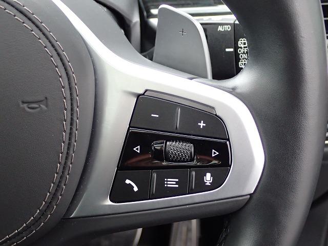 Ｘ７ ｘＤｒｉｖｅ　４０ｄ　Ｍスポーツ　認定中古車　全国２年保証　弊社デモカー登録車両　２２インチアルミホイル　スカイラウンジ　Ｂ＆Ｗサウンドシステム　衝突軽減ブレーキ　車線逸脱システム　レーンチェンジワーニング　追従式クルーズコントロール　ブラウンレザーシート（37枚目）