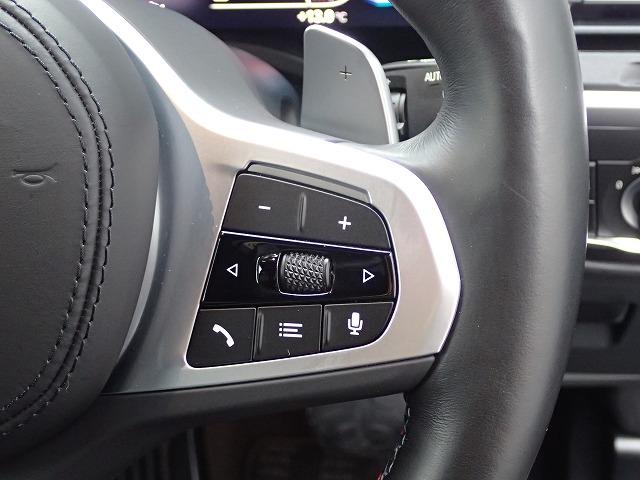 Ｘ３ Ｍ４０ｉ認定中古車　全国２年保証　パノラマガラスサンルーフ　２０インチアルミホイル　サウンドパッケージ　ファストトラックパッケージ　衝突軽減ブレーキ　車線逸脱システム　レーンチェンジワーニング　追従式クルーズコントロール　Ｂｌｕｅｔｏｏｔｈ接続（30枚目）