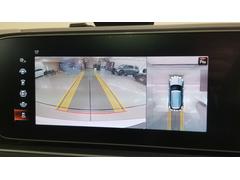 ϥȥ󥵡϶Ǥ¿֤Ǥ褦˥ݡȡå꡼ɽȲǾ㳲ʪȤεΥǧǤޤФ˴Ƥʤ֤ζˤɬȤޤ 5