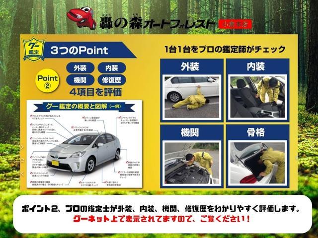 ベリーサ Ｃ　社外メモリーナビ、地デジワンセグＴＶ、バックモニター、スマートキー、ＥＴＣ、シートリフター、オートヘッドライト、純正アルミホイール（46枚目）