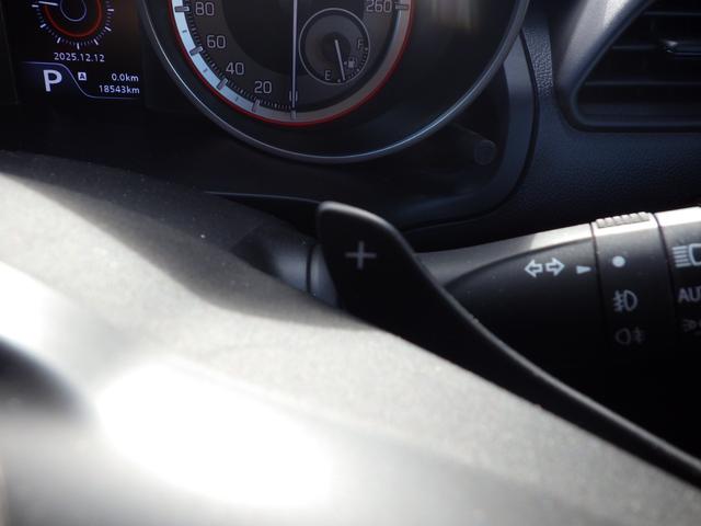 スイフトスポーツ ベースグレード　社外メモリーナビ、地デジワンセグＴＶ、Ｂｌｕｅｔｏｏｔｈオーディオ、ＥＴＣ、インテリジェントキー、シートヒーター、ワンオーナー車、アダプティブクルーズコントロール、ＬＥＤオートヘッドライト（36枚目）