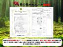 ＦＣ　登録済未使用車、衝突被害軽減ブレーキ、障害物センサー、電動格納ドアミラー、ヘッドライトウォッシャー、ＬＥＤオートヘッドライト、パートタイム４ＷＤ（48枚目）
