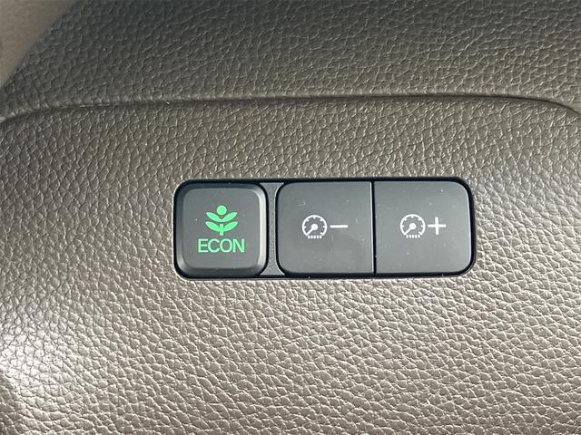 Ｎ－ＢＯＸ Ｌ　ドライブレコーダー　ＥＴＣ　バックカメラ　両側スライドドア　ナビ　ＴＶ　クリアランスソナー　オートクルーズコントロール　レーンアシスト　衝突被害軽減システム　オートライト　ＬＥＤヘッドランプ（42枚目）