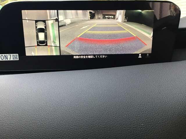 �R�U�O°�r���[���j�^�[�ƃo�b�N�J�������ڂł�����ގ��̕s��������ɂĉ����ł��ˁ�