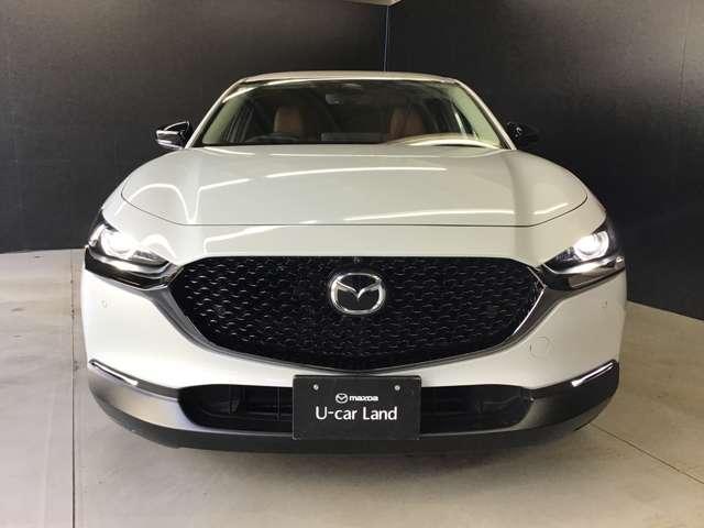 ���b�V���`��̃t�����g�O�����������ł��ˁB