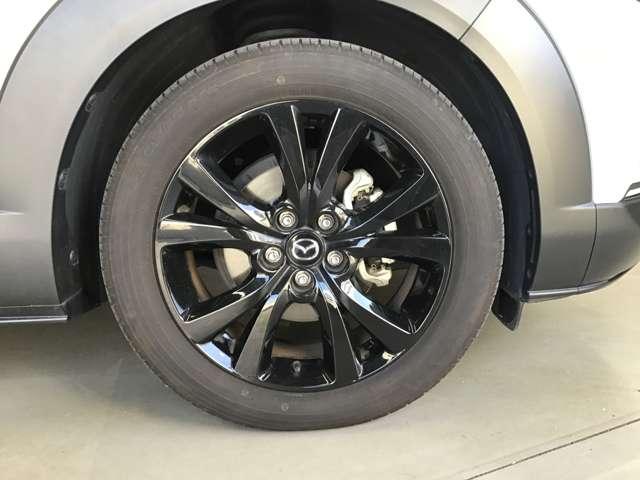 �����A���~�z�C�[������������肪�������܂��Č����ăJ�b�R�����ł��ˁ�