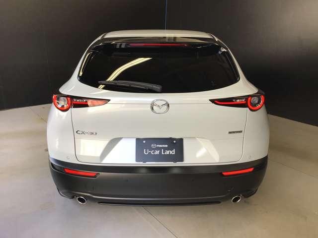 �e�[�������v���}�c�_�炵���V���[�v�ȃf�U�C���őf�G�ł��B