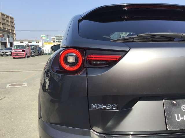 �����I�ȃ��C�g���ł��I