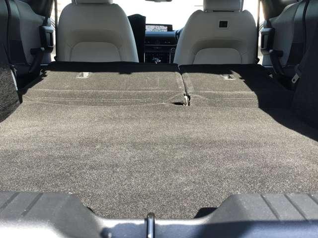 �����V�[�g��|���Ƒ傫�ȉו������ډ\�ł��B