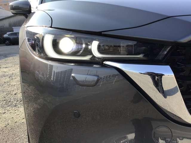 �l�C�̂k�d�c���C�g�I�I��ԑ��s�����邭�Ċy�ɂȂ�܂��ˁI