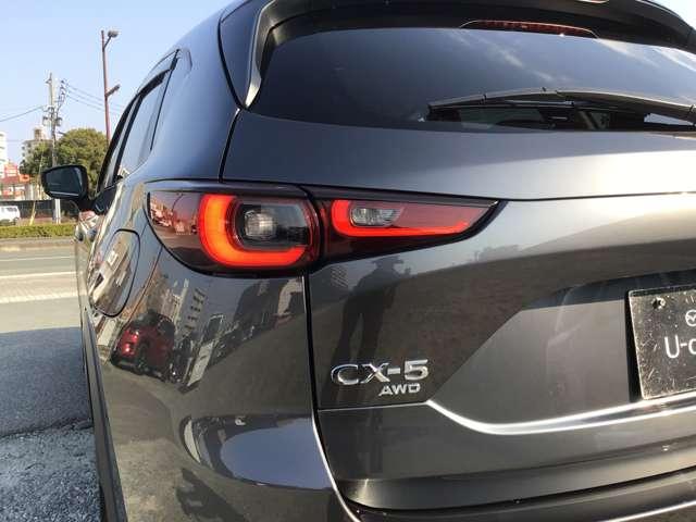 �����I�ȃ��C�g���ł��I