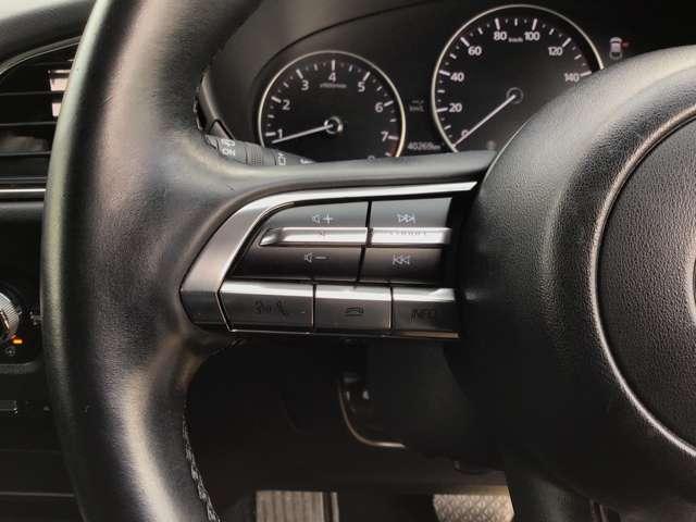 ＣＸ－３０ ２．０　２０Ｓ　プロアクティブ　ツーリングセレクション　ナビ　シートヒーター　ＥＴＣ　前後ドラレコ　シ－トヒ－タ－　ＢＴ接続　Ｒカメラ　アダクティブクルーズコントロール　アルミ　パワーシート　キーレス　ＤＶＤ再生　サイドカーテンエアバック　ＵＳＢ　ＡＢＳ（37枚目）