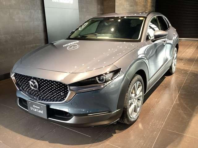 ���_��͋�B�}�c�_�Ƀ����e�i���X���X�\�Ȃ��q�l�Ƃ����Ē����Ă���܂�