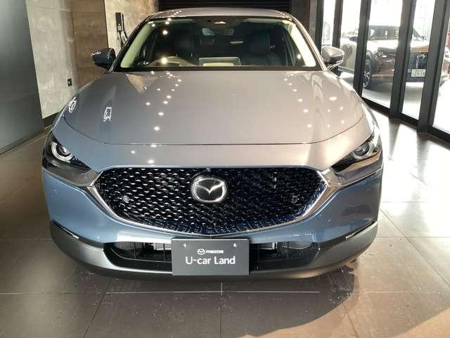 ���b�V���`��̃t�����g�O�����������ł��ˁB