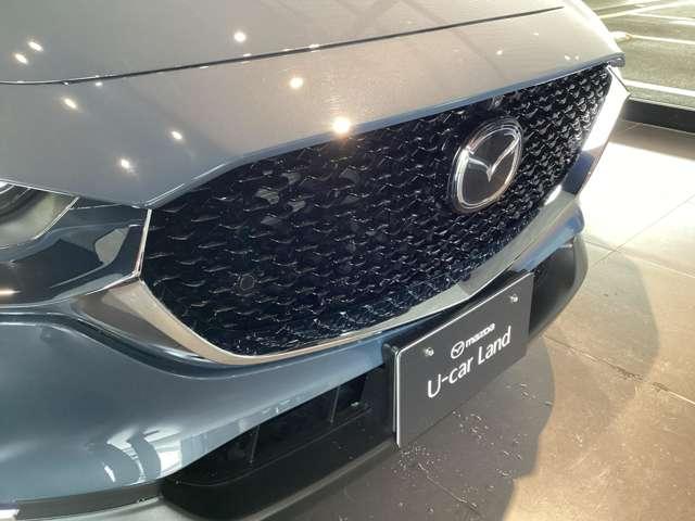 ���b�V���`��̃t�����g�O�����������ł��ˁB