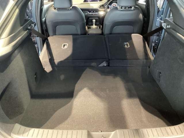 �����V�[�g��|���Ƒ傫�ȉו������ډ\�ł��B