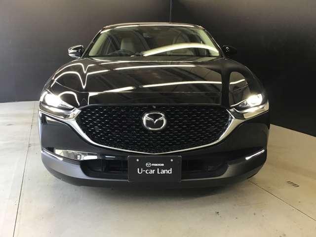 ���b�V���`��̃t�����g�O�����������ł��ˁB