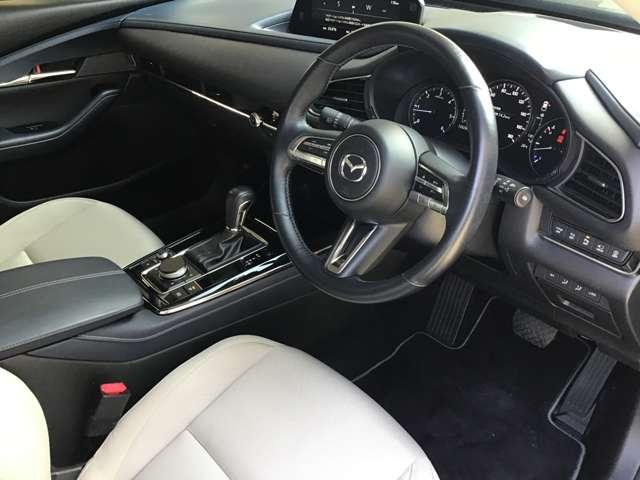 ＣＸ－３０ １．８　ＸＤ　プロアクティブ　ツーリングセレクション　ディー　パワーリフトゲート　ＥＴＣ　全方位モニター　ヒーター　追従クルーズ　ＢＴ接続　Ｂカメラ　Ｓキー　パワステ　ターボ車　パワーシート　オートエアコン　オートハイビーム　ＡＢＳ　ＤＳＣ　アルミ　ＵＳＢ（23枚目）