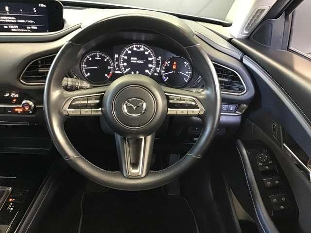 ＣＸ－３０ １．８　ＸＤ　プロアクティブ　ツーリングセレクション　ディー　パワーリフトゲート　ＥＴＣ　全方位モニター　ヒーター　追従クルーズ　ＢＴ接続　Ｂカメラ　Ｓキー　パワステ　ターボ車　パワーシート　オートエアコン　オートハイビーム　ＡＢＳ　ＤＳＣ　アルミ　ＵＳＢ（30枚目）