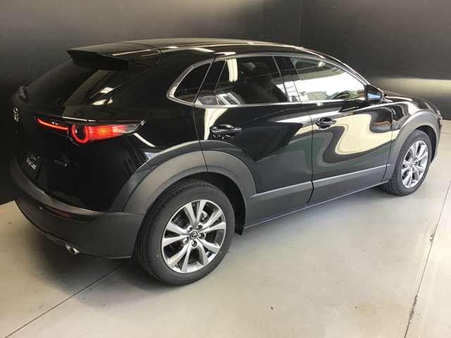 ＣＸ－３０ １．８　ＸＤ　プロアクティブ　ツーリングセレクション　ディー　パワーリフトゲート　ＥＴＣ　全方位モニター　ヒーター　追従クルーズ　ＢＴ接続　Ｂカメラ　Ｓキー　パワステ　ターボ車　パワーシート　オートエアコン　オートハイビーム　ＡＢＳ　ＤＳＣ　アルミ　ＵＳＢ（54枚目）