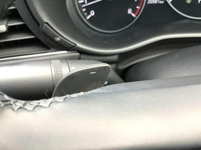 ���K�f�B�[���[�X�����炱���̖��́B