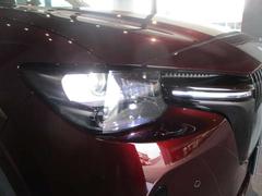 �͵��Σ̣ţĥ饤�ȡ���������Ԥ����뤯�Ƴڤˤʤ�ޤ��͡� 6