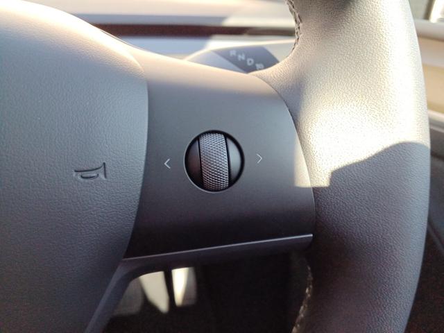 モデルＹ ベースグレード　オートパイロット　パノラマガラスルーフ　純正ナビ　バックサイドカメラ　ブラックレザーシート　電動シート　シートヒーター　ハンドルヒーター　電動リアゲート　ＥＴＣ（24枚目）