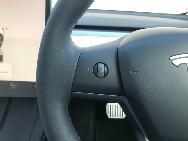 モデル３ スタンダードプラス　ＡＭＤＲｙｚｅｎ　ワンオーナー　ガラスルーフ　白革パワーシート　シートヒーター　電動リアゲート　ＥＴＣ　ステアリングヒーター　パワーシート（28枚目）